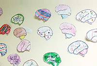 Brain wall