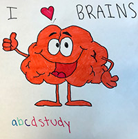 Brain picture