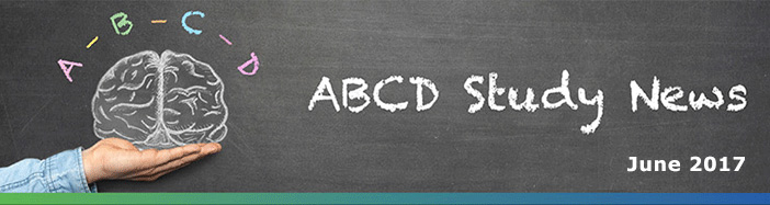 ABCD Study News!