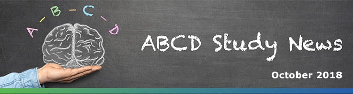 ABCD Study News!