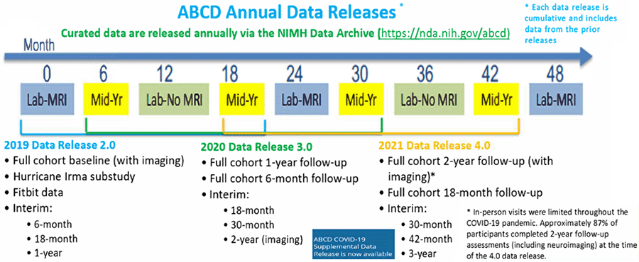 ABCD Data Release Schedule