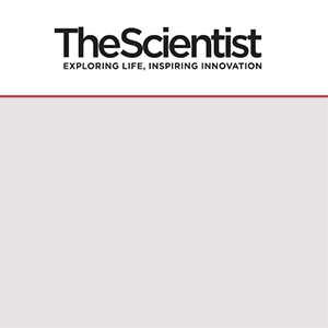 The Scientist