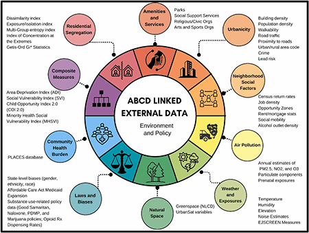 Linked External Data