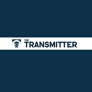 The Transmitter